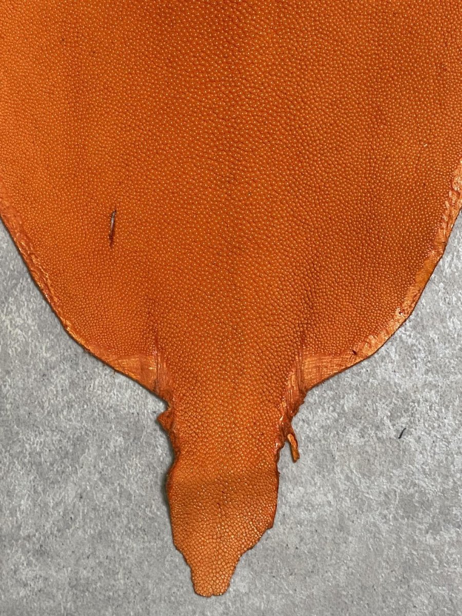 画像4: スティングレイ　オレンジ　８インチ　エイ革　ガルーシャ (4)