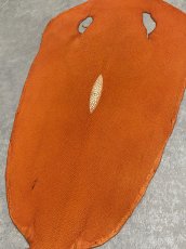 画像5: スティングレイ　オレンジ　８インチ　エイ革　ガルーシャ (5)