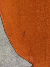 画像7: スティングレイ　オレンジ　８インチ　エイ革　ガルーシャ (7)