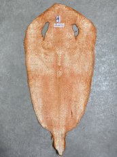 画像8: スティングレイ　オレンジ　８インチ　エイ革　ガルーシャ (8)