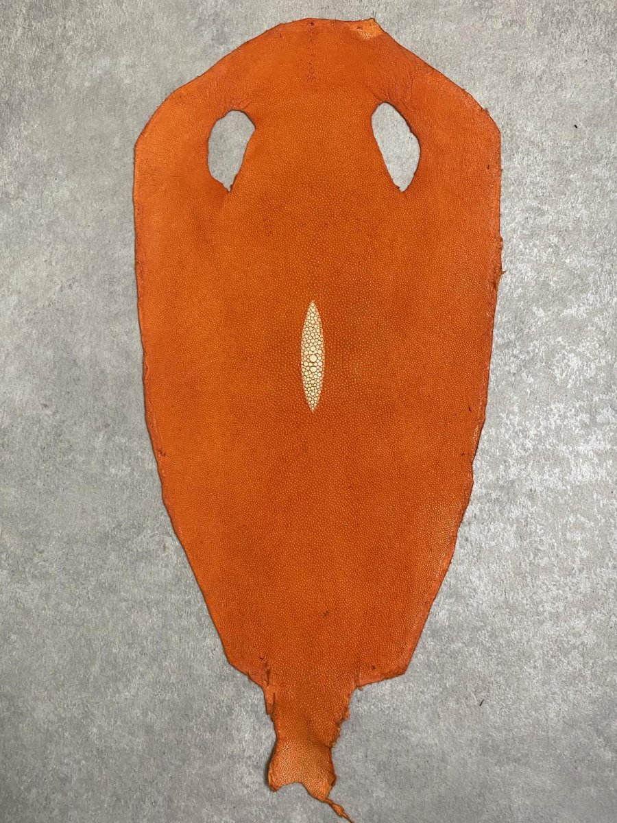 画像1: スティングレイ　オレンジ　８インチ　エイ革　ガルーシャ (1)