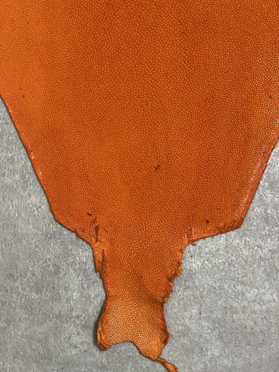 画像4: スティングレイ　オレンジ　８インチ　エイ革　ガルーシャ (4)