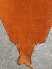 画像4: スティングレイ　オレンジ　８インチ　エイ革　ガルーシャ (4)