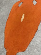 画像5: スティングレイ　オレンジ　８インチ　エイ革　ガルーシャ (5)