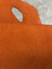 画像6: スティングレイ　オレンジ　８インチ　エイ革　ガルーシャ (6)