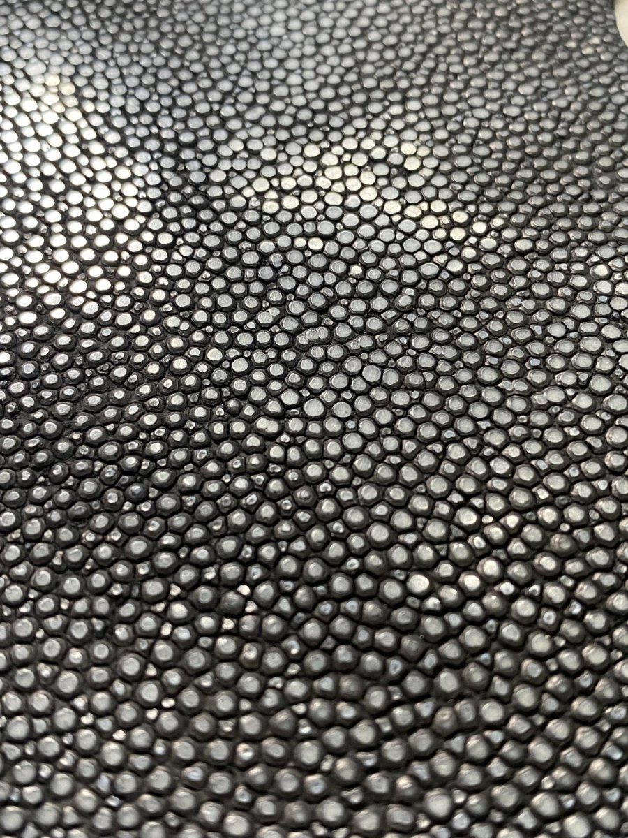 画像4: スティングレイ ブラック 吟スリ ぼうし型ハギレSサイズ エイ革 ガルーシャ (4)