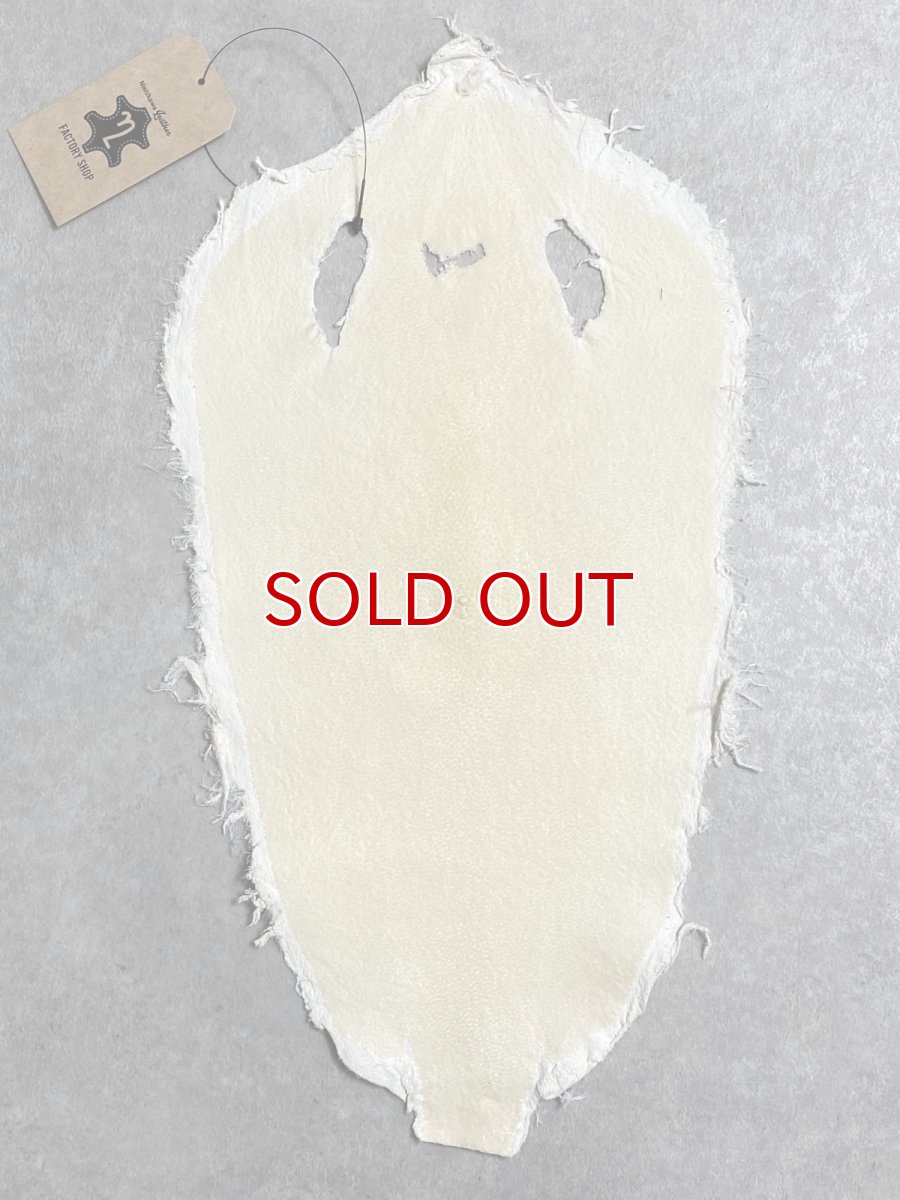 画像1: スティングレイ　クラスト　8インチ　エイ革　ガルーシャ (1)