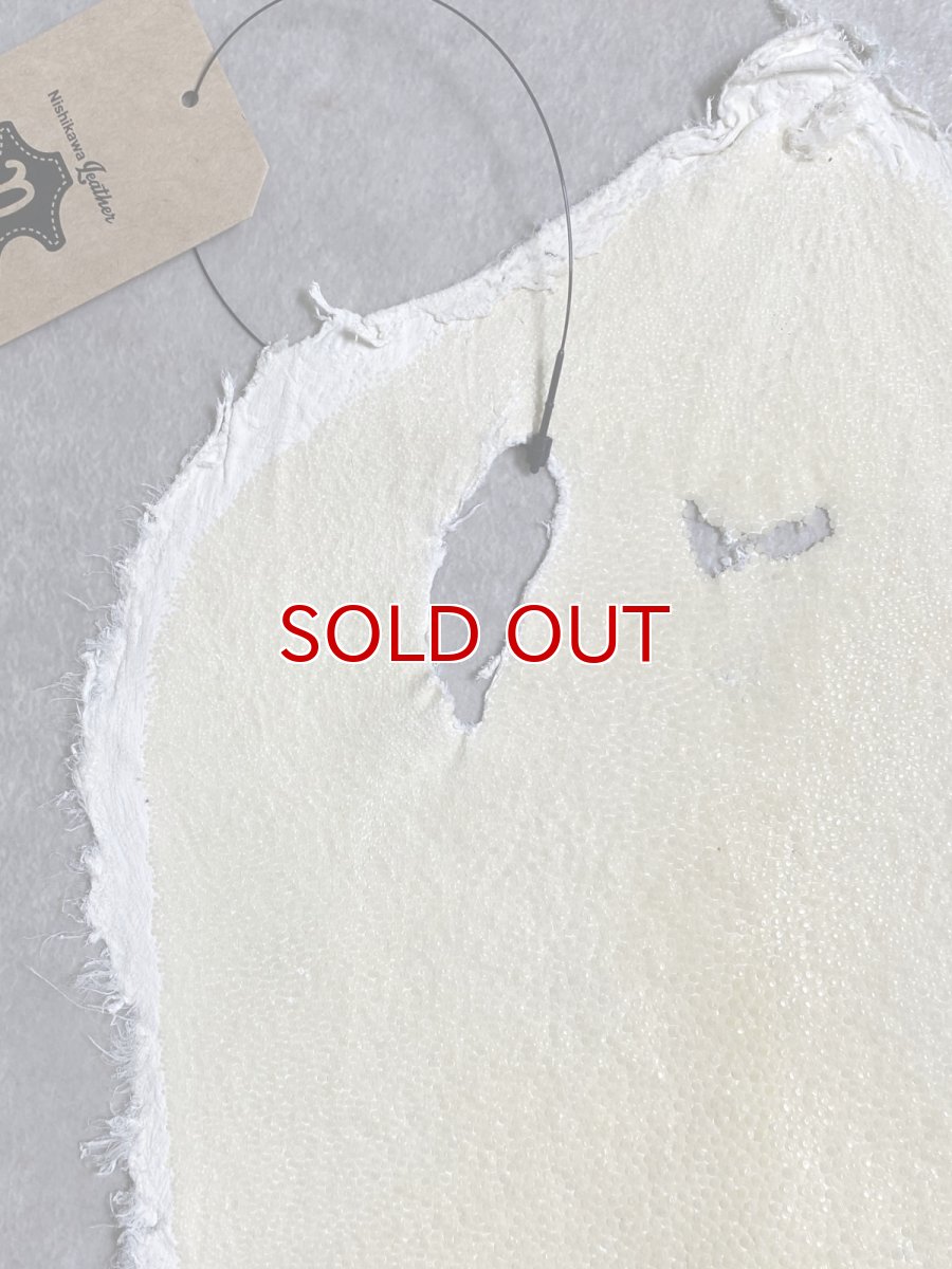 画像2: スティングレイ　クラスト　8インチ　エイ革　ガルーシャ (2)