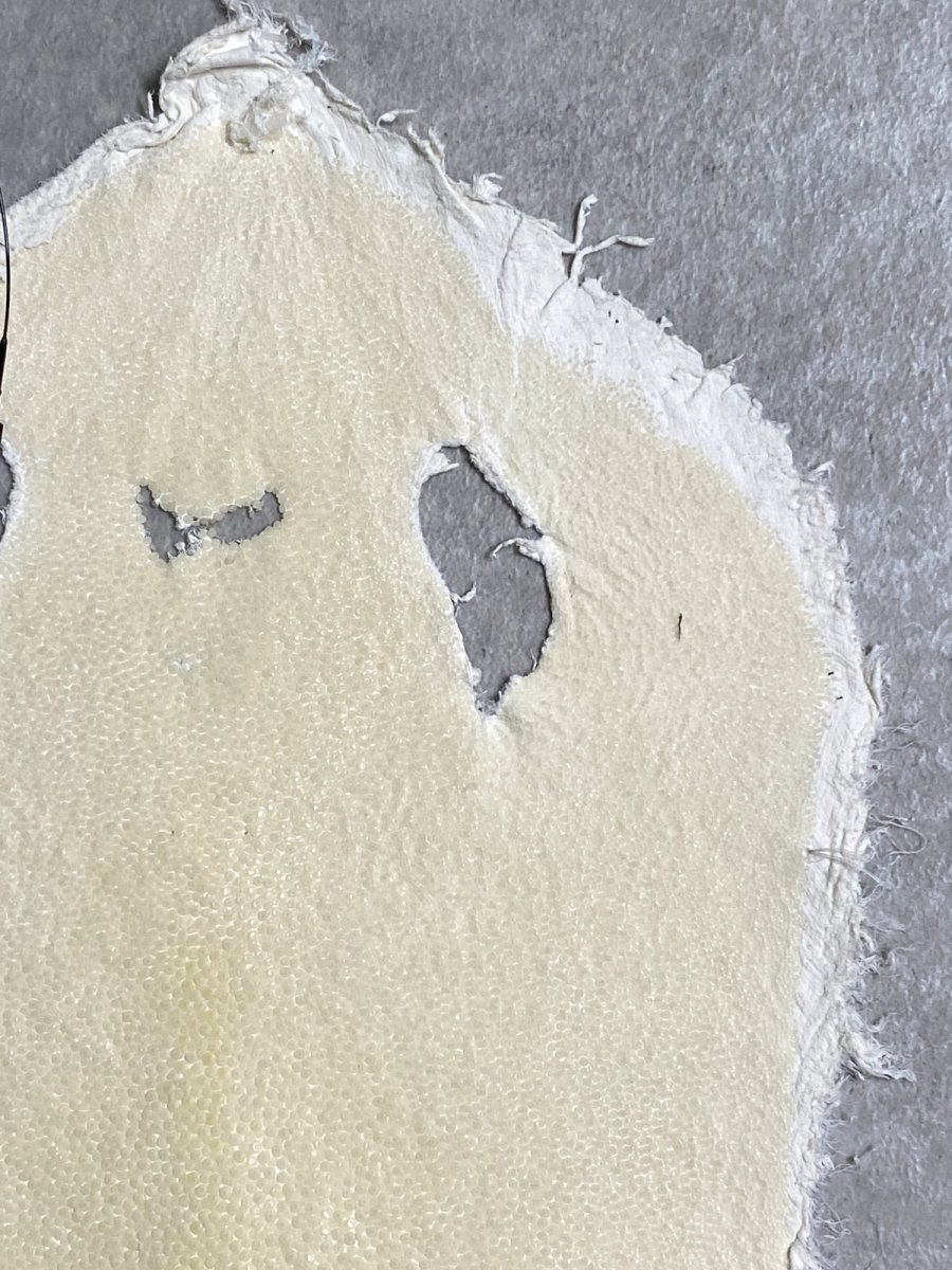 画像3: スティングレイ　クラスト　8インチ　エイ革　ガルーシャ (3)