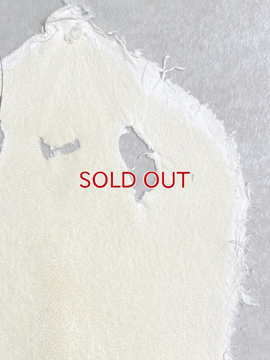 画像3: スティングレイ　クラスト　8インチ　エイ革　ガルーシャ (3)