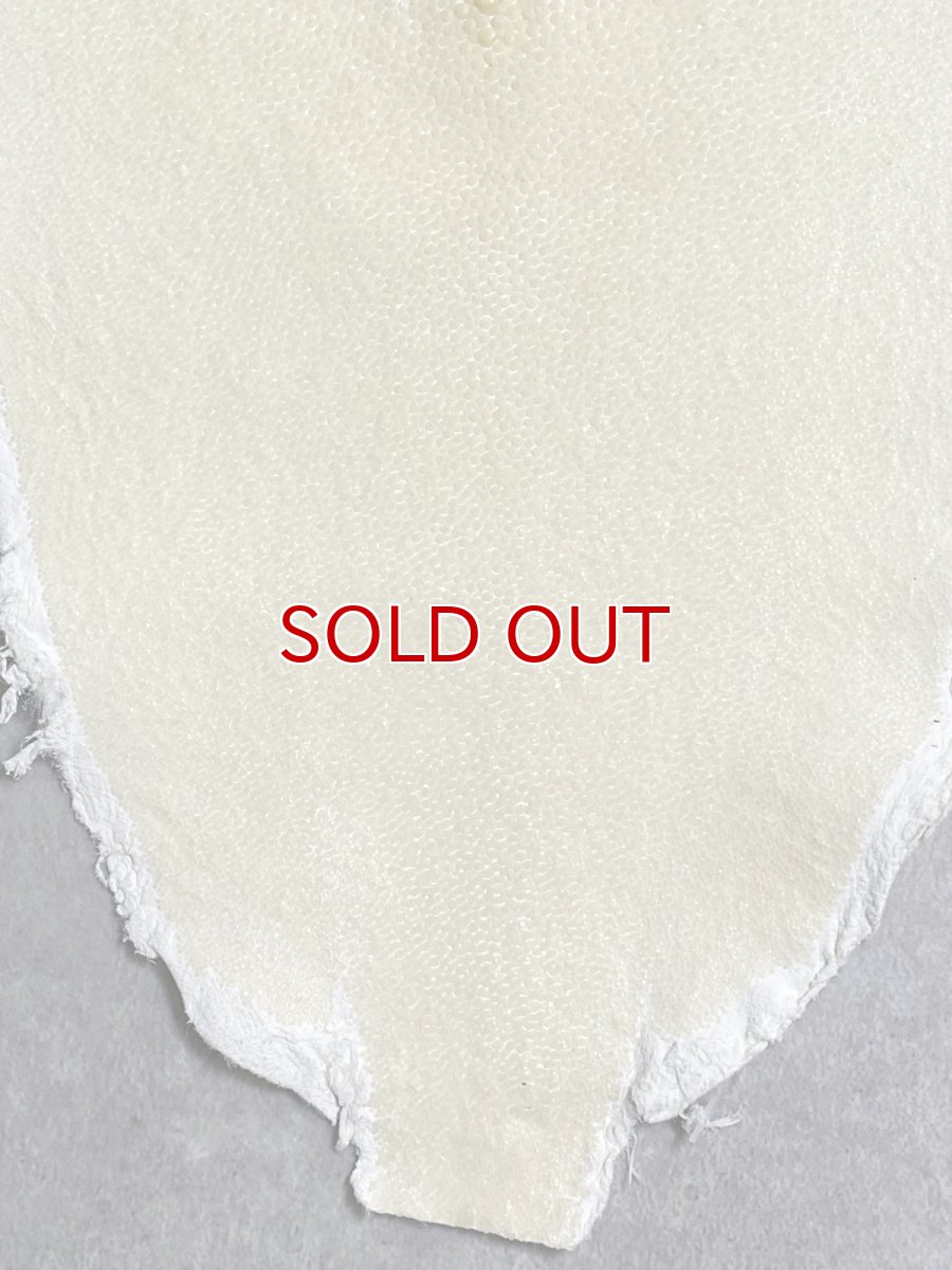 画像4: スティングレイ　クラスト　8インチ　エイ革　ガルーシャ (4)