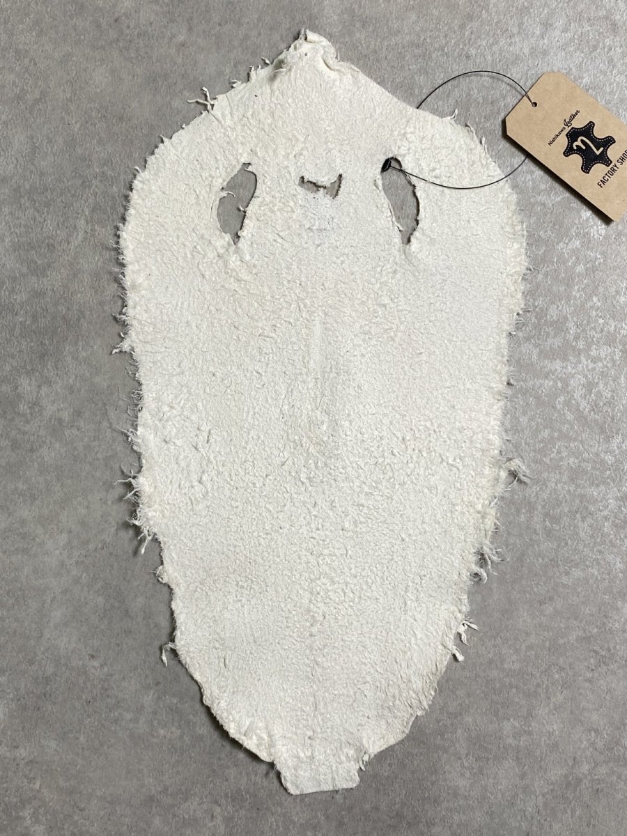 画像7: スティングレイ　クラスト　8インチ　エイ革　ガルーシャ (7)