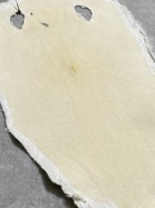 画像5: スティングレイ　クラスト　8インチ　エイ革　ガルーシャ (5)