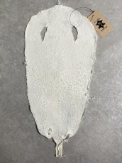 画像7: スティングレイ　クラスト　8インチ　エイ革　ガルーシャ (7)