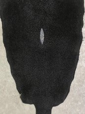 画像4: スティングレイ　ブラック　10インチ　エイ革　ガルーシャ (4)