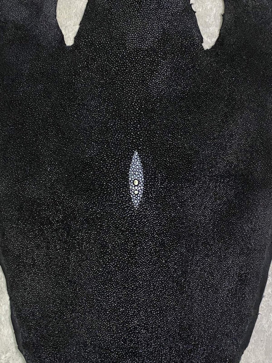 画像4: スティングレイ　ブラック　10インチ　エイ革　ガルーシャ (4)