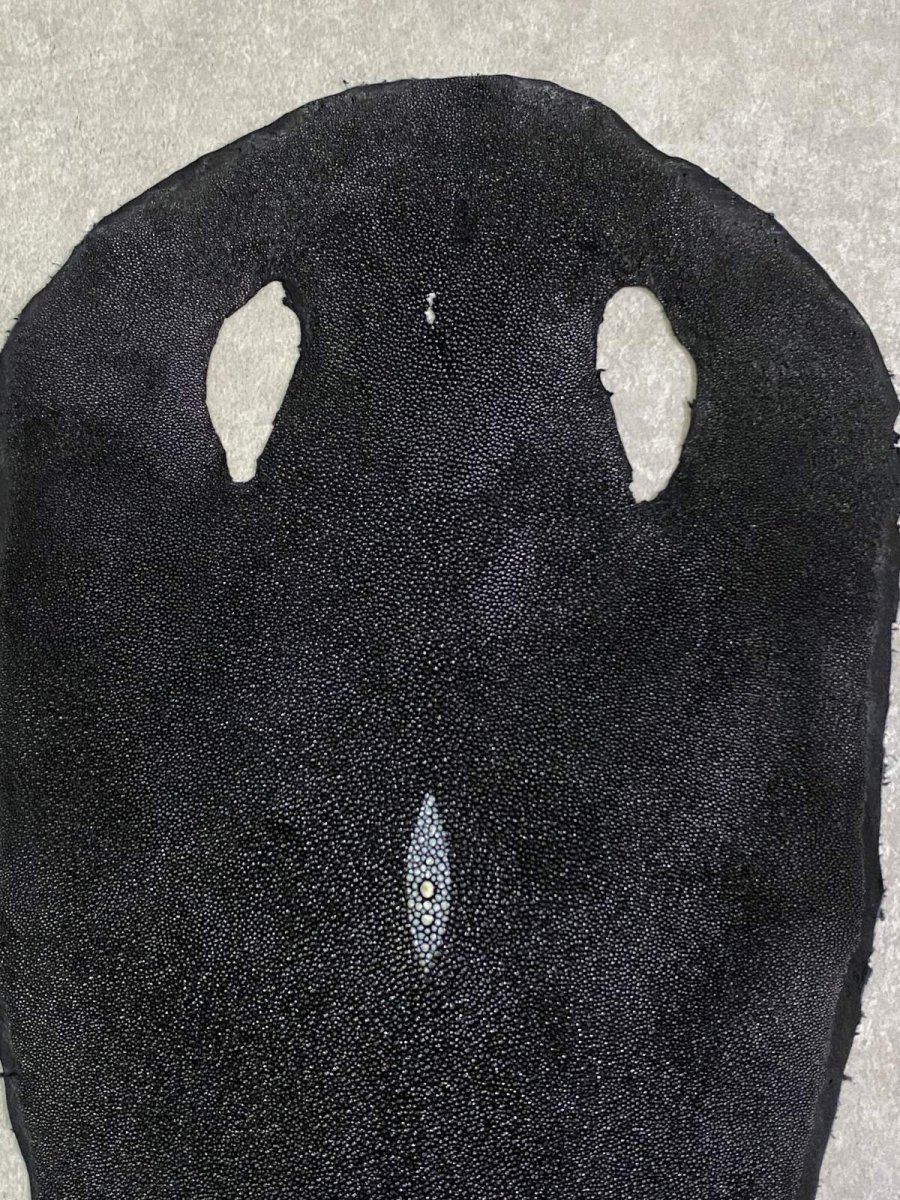 画像5: スティングレイ　ブラック　10インチ　エイ革　ガルーシャ (5)