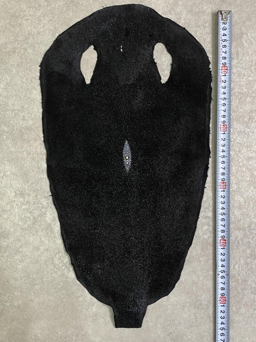 画像7: スティングレイ　ブラック　10インチ　エイ革　ガルーシャ (7)