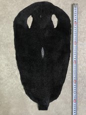 画像7: スティングレイ　ブラック　10インチ　エイ革　ガルーシャ (7)