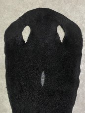 画像3: スティングレイ　ブラック　10インチ　エイ革　ガルーシャ (3)