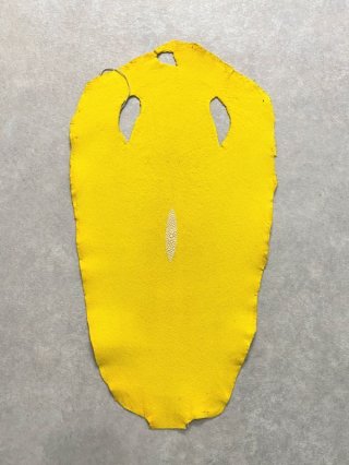 【美品】エイ革 スティングレイ ガルーシャ オーガナイザー　イエロー スティングレイ 財布 ミニ財布 エイ革 スティングレーラウンド