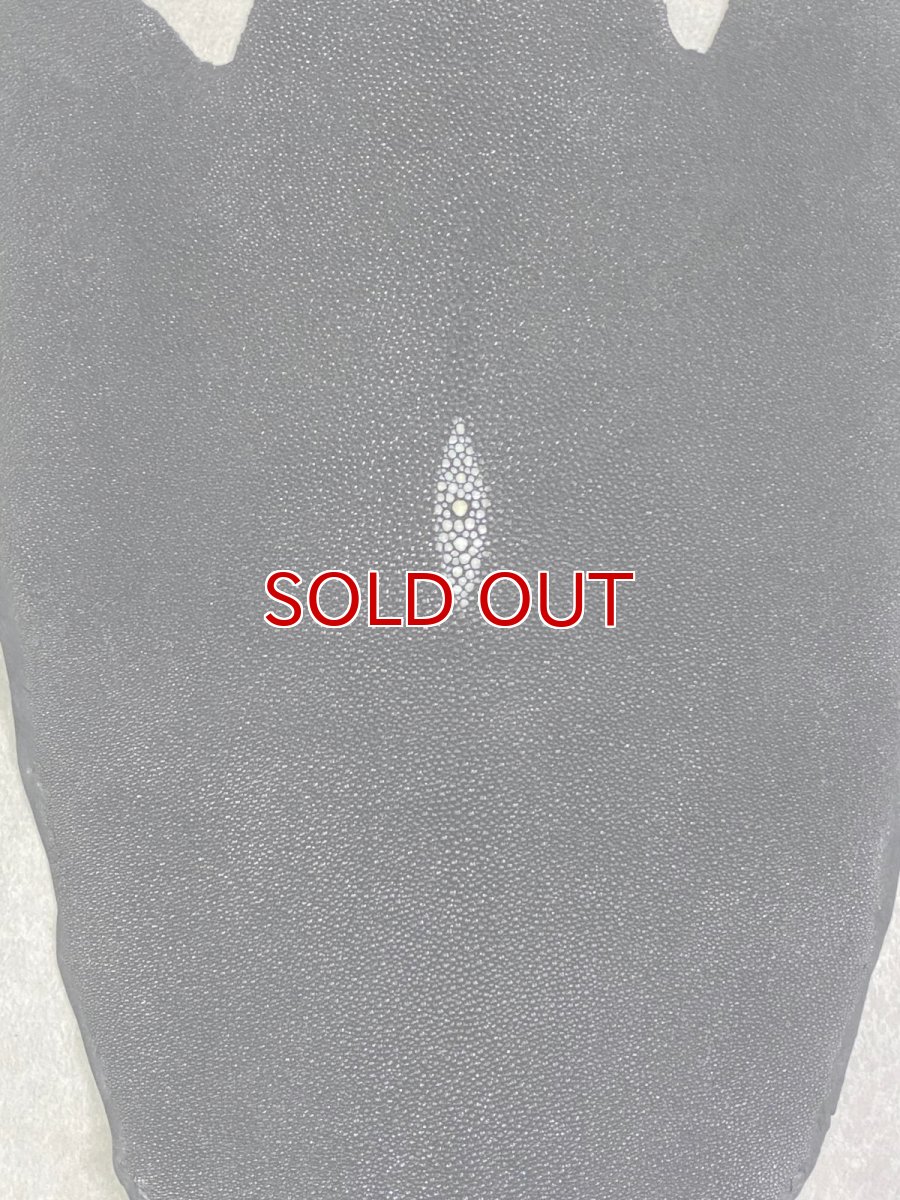 画像3: スティングレイ　ブラック　10インチ　エイ革　ガルーシャ (3)