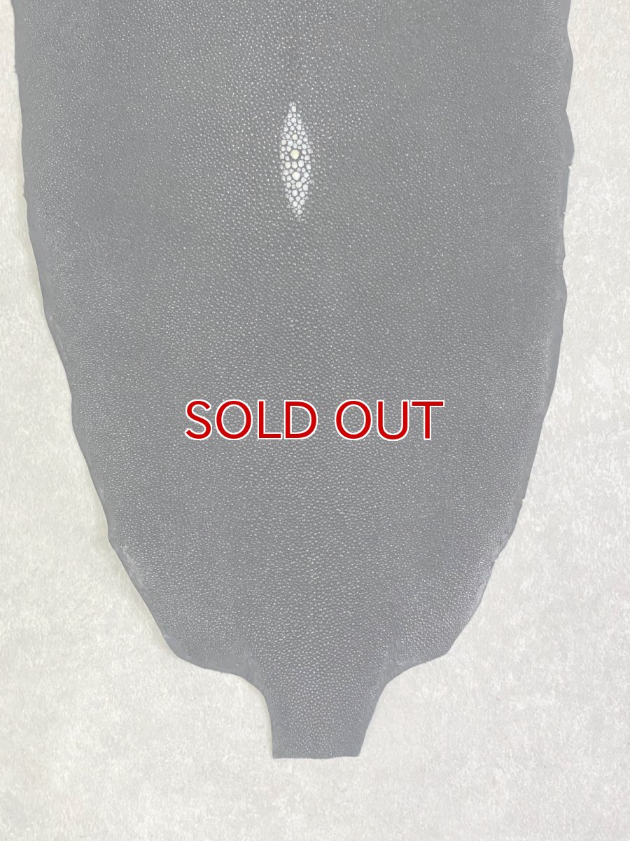 画像5: スティングレイ　ブラック　10インチ　エイ革　ガルーシャ (5)