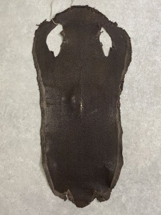 スティングレイ/エイ革/ガルーシャ【革とレザークラフト革細工