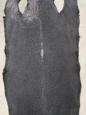 画像4: スティングレイ　吟スリ　ロング　ブラック　9インチ　エイ革　ガルーシャ (4)