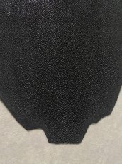 画像6: スティングレイ　ブラック　10インチ　エイ革　ガルーシャ (6)