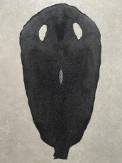 画像1: スティングレイ　ブラック　10インチ　エイ革　ガルーシャ (1)
