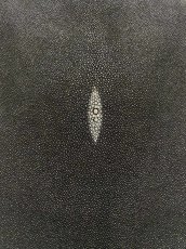 画像4: スティングレイ　ブラック　10インチ　エイ革　ガルーシャ (4)