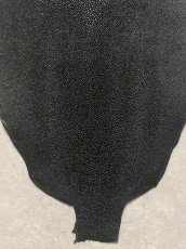 画像5: スティングレイ　ブラック　10インチ　エイ革　ガルーシャ (5)