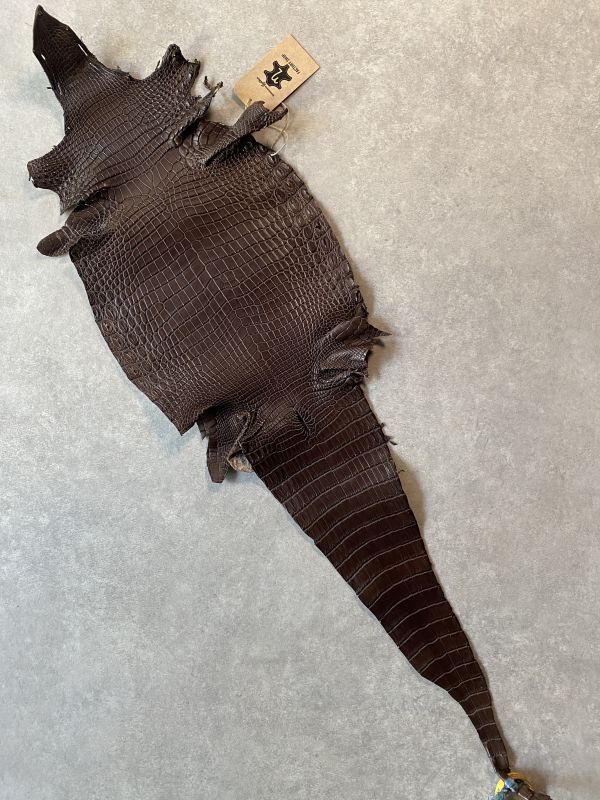 ICELINK SENATOR crocodile クロコダイル レザーバンド（クロコダイル 