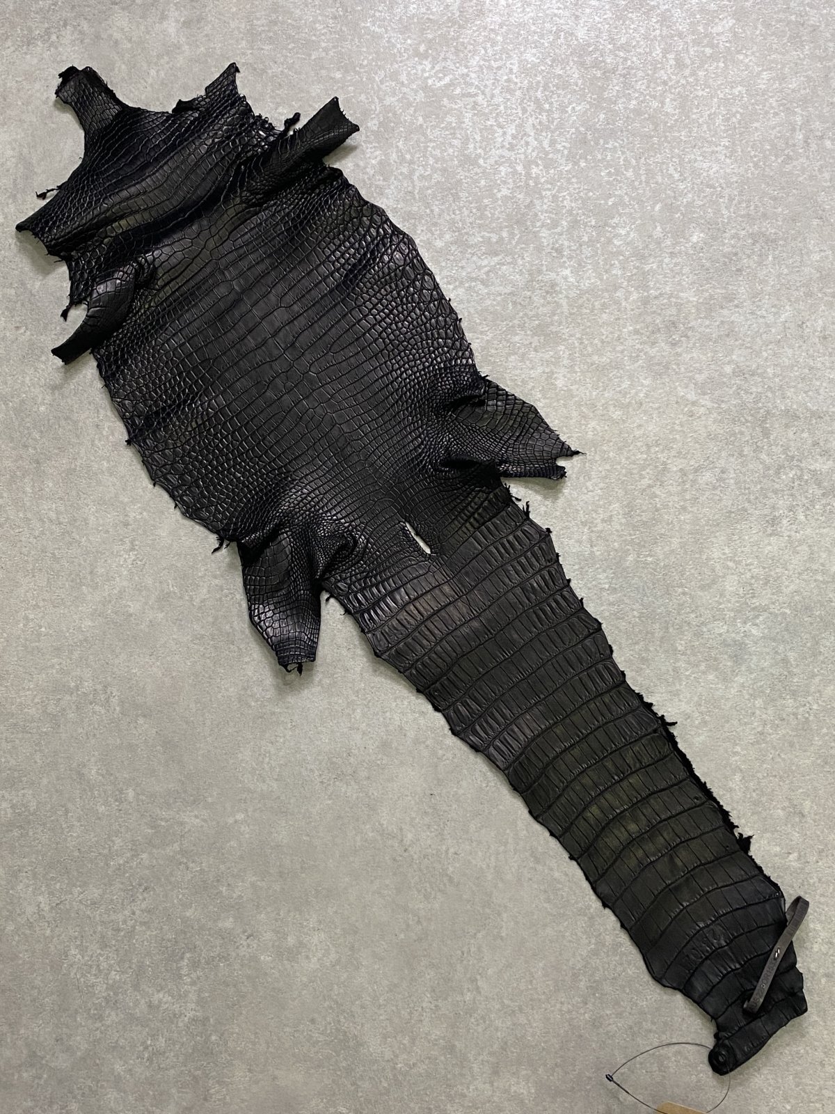 スモールクロコダイル　ブラック　28　ポロサス　ワニ革　クロコダイル革　