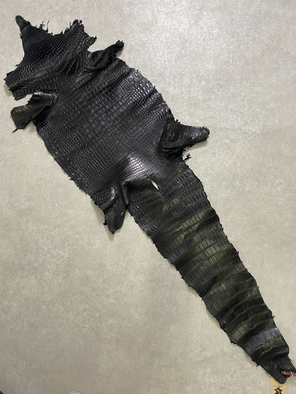 スモールクロコダイル　ブラック　41　ポロサス　ワニ革　クロコダイル革　