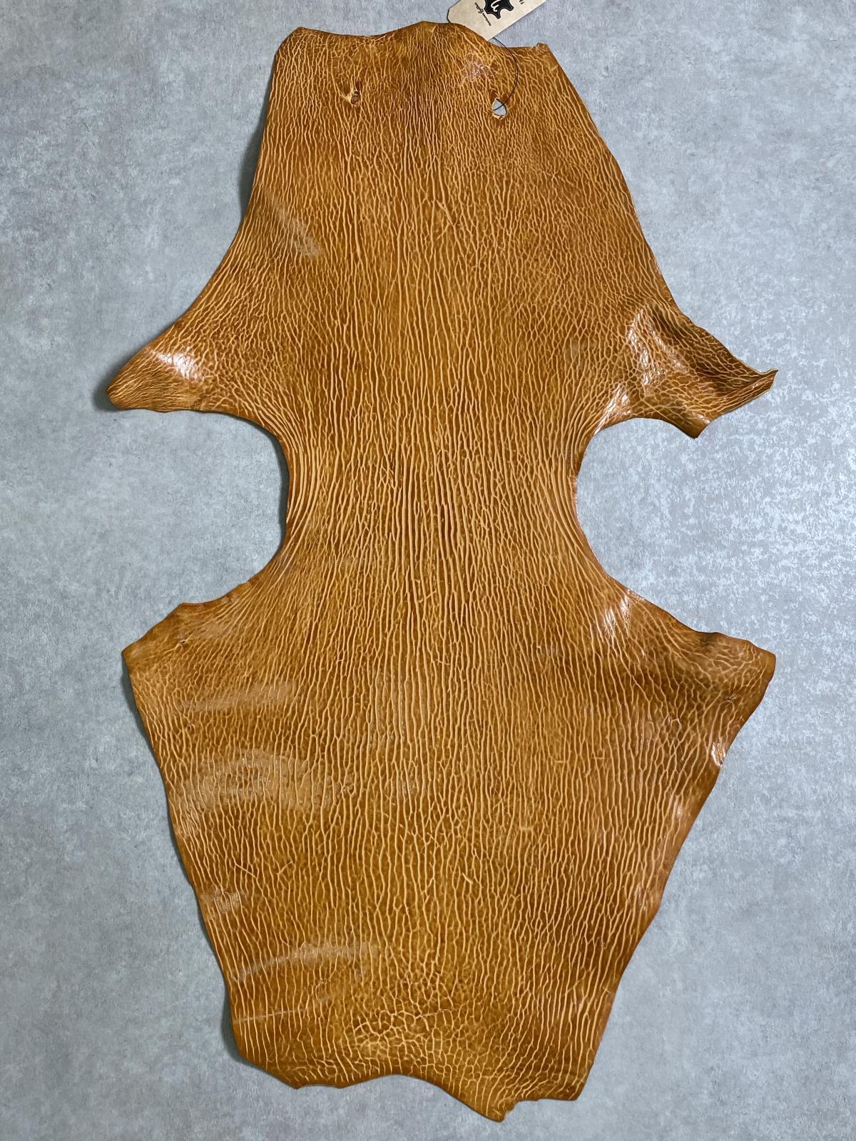 ケープシール　キャメル　オットセイ革　シールスキン　エキゾチックレザー