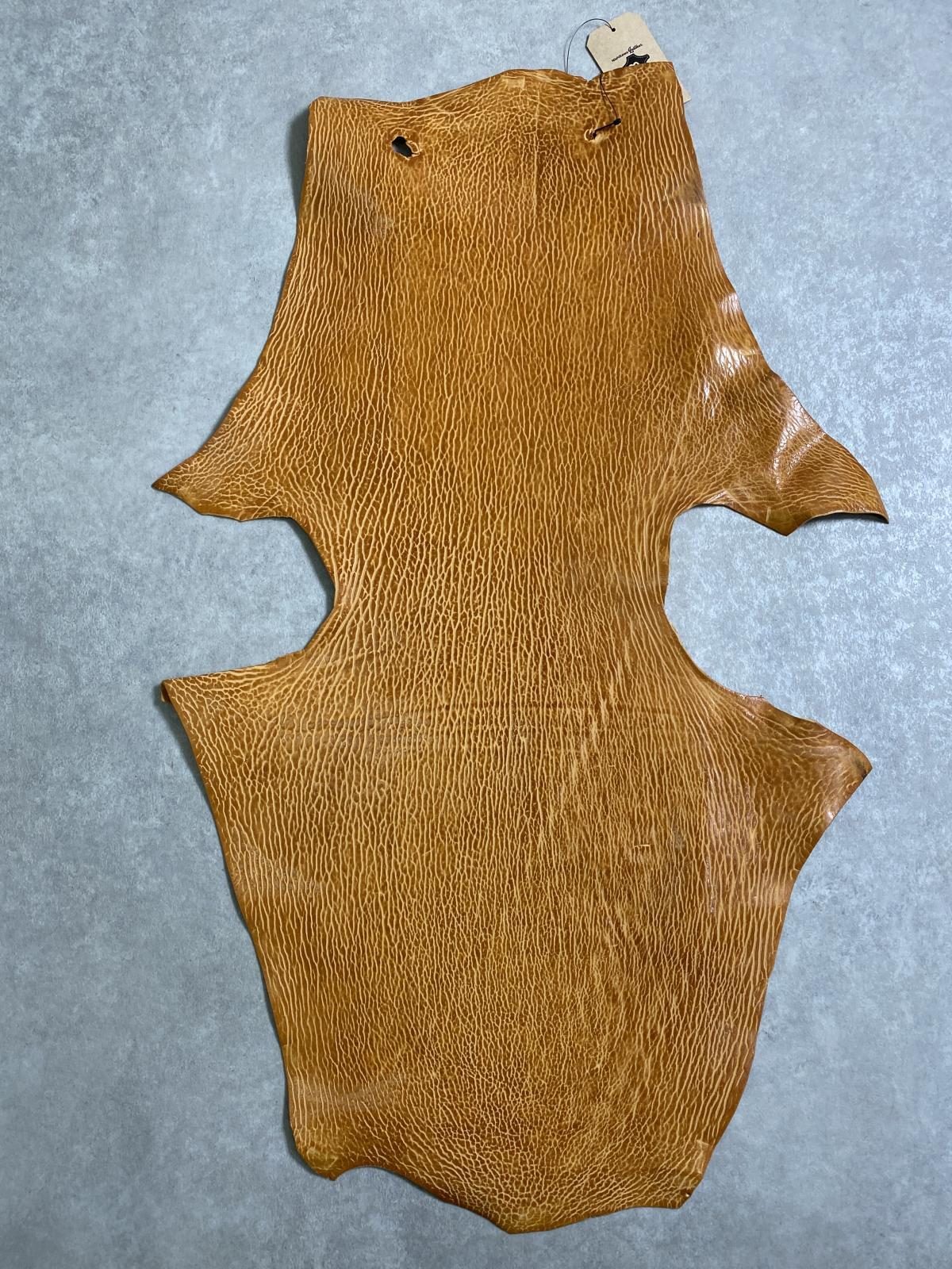 ケープシール　キャメル　オットセイ革　シールスキン　エキゾチックレザー