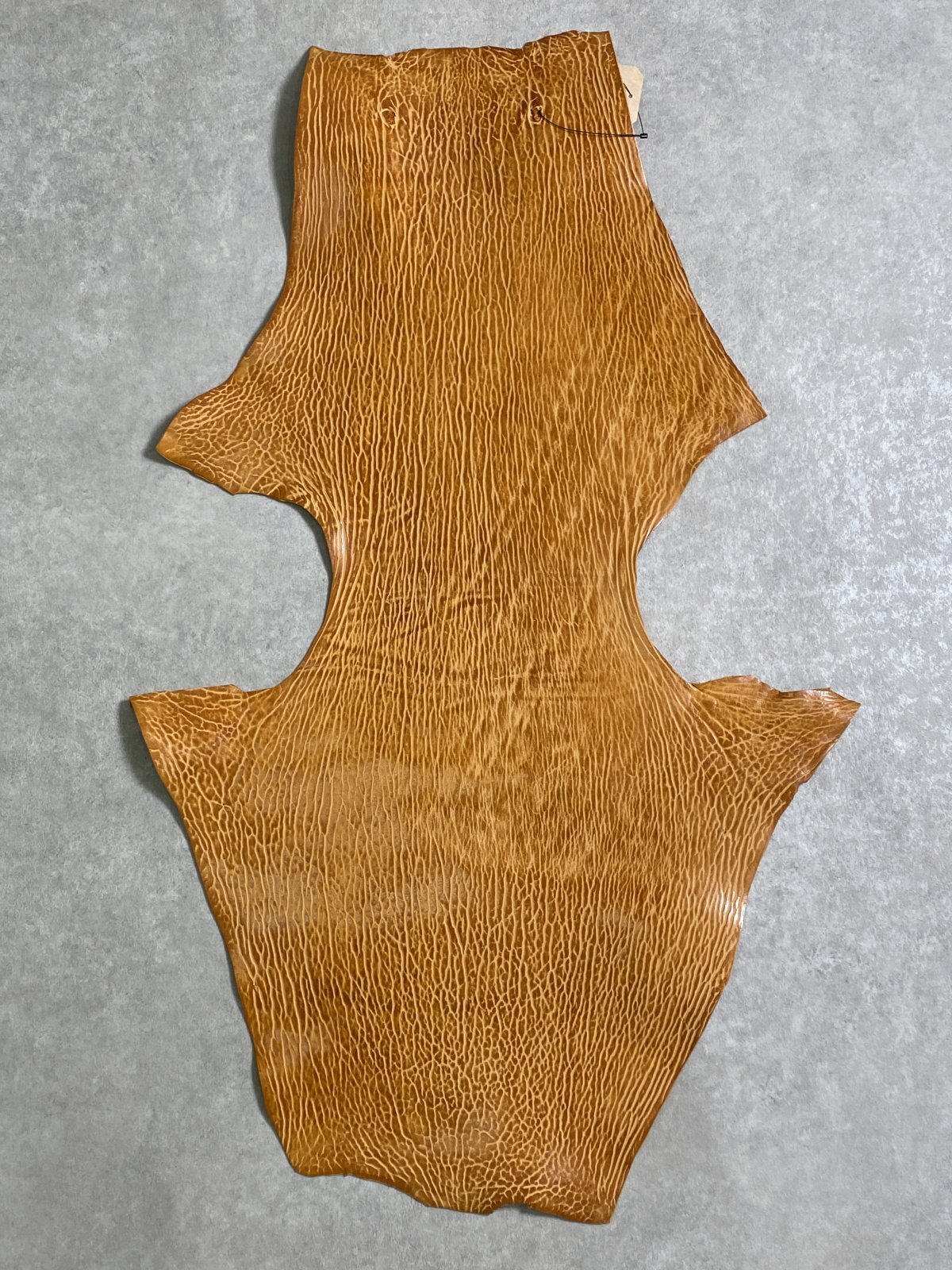 ケープシール　キャメル　オットセイ革　シールスキン　エキゾチックレザー